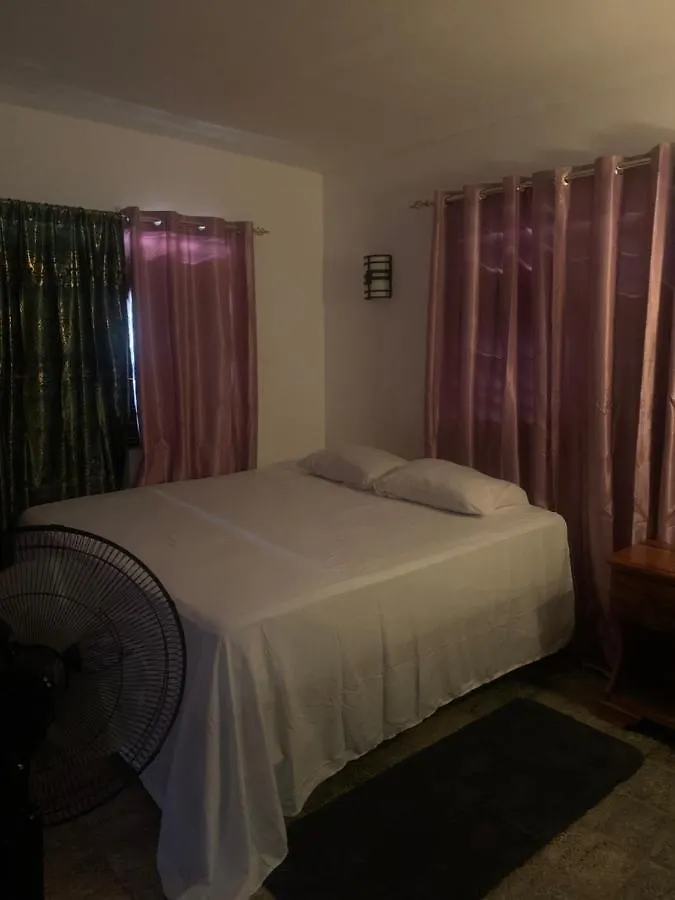 Skipper'S Beach Villa Negril Gæstehus